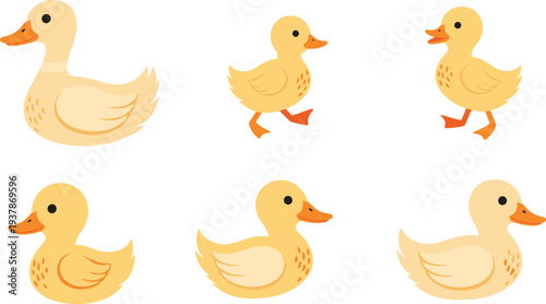 Cute Duck Character Set with Yellow Ducklings, Funny Walking Poultry Birds, Farm Animal Mascots, and Waterfowl Vector Illustration.