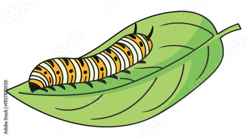 Vector illustration of Colorful Caterpillar Crawling on Green Leaf Nature Illustration