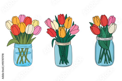 Colorful Tulip Bouquets in Glass Jars Hand-Drawn Vector Illustration. Spring Tulip Flower Arrangements in Mason Jars Floral Vector Set. 