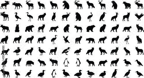 Large collection of wild animal silhouettes including bears, wolves, deer, moose, foxes, penguins, and various birds for nature conservation vector graphic design projects.