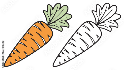 Vector illustration of Orange Carrot with Green Leaves, Color and Outline Vegetable