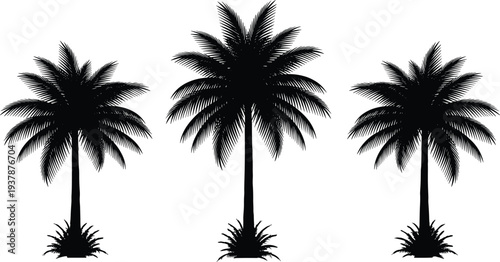 Tropical Palm Tree Silhouette Vector Set Featuring Exotic Coconut Palms and Coastal Island Vegetation for Summer Vacation Branding Beach Party Graphics and Nature Design
