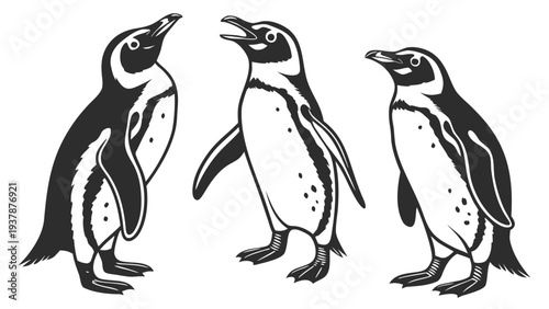 Vector illustration of Three penguins in monochrome illustration, showing distinct poses