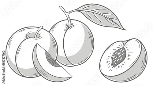Vector illustration of Ripe Peaches Illustration, Sweet Summer Fruit with Leaf