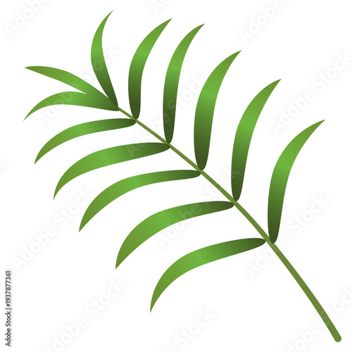 Illustration of fresh green parlor palm leaves 