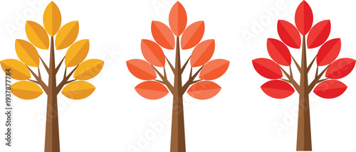 Set of three flat vector autumn trees with yellow orange and red leaves isolated on white background for simple fall nature and forest design (24 words)
