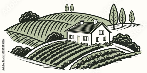 A house surrounded by lush vineyards and trees Vector