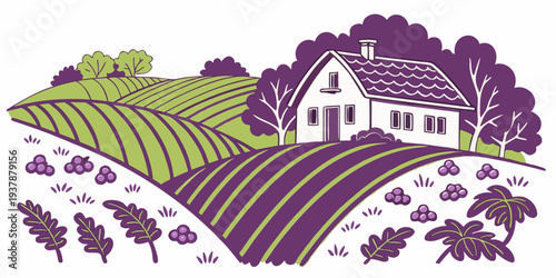 A house on a hill with a vineyard and lavender fields Vector