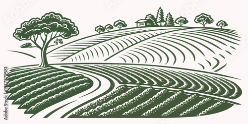 A green illustration of a vineyard with rows of crops and a tree Vector
