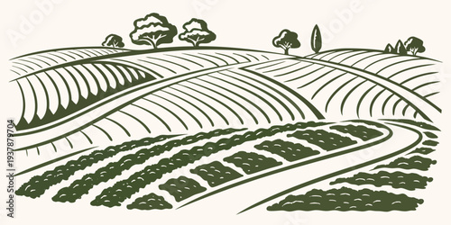 A green landscape with rows of crops and trees in the background Vector