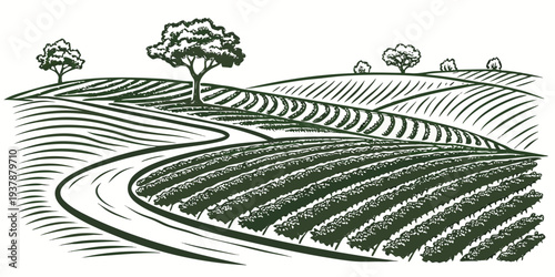 A green landscape with a road and trees Vector