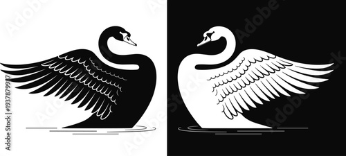 Swan, Bird, Wildlife, Waterfowl, Black, White, Silhouette, Wing, Elegant, Lake, Nature, Animal, Illustration, Icon, Isolated, Feather, Graceful, Symbol, Design, Pair