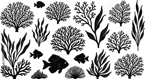 Underwater marine silhouettes featuring coral, seaweed, fish, and seashells in black vector illustration design, perfect for ocean themes, biology education, and creative projects
