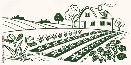 A house and garden in the countryside Vector
