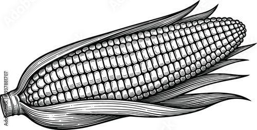 Black lion rampant heraldic vector silhouette isolated on white background for medieval shield coat of arms emblem royal king power strength and luxury branding.