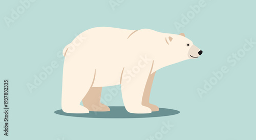 Cartoon polar bear illustration on a simple background design