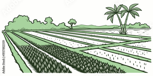 A green field with rows of crops and trees Vector