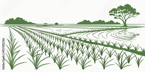A green illustration of a field with rows of crops and trees Vector