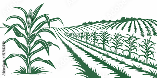 A green illustration of a cornfield with rows of crops growing in the soil Vector