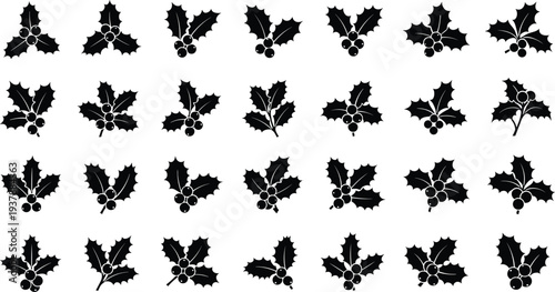 Black holly berry icons on white background for Christmas designs