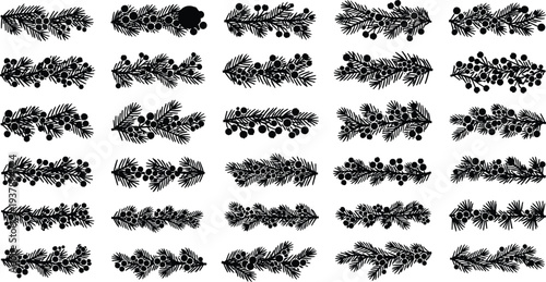 Black silhouettes of pine branches with berries on white background