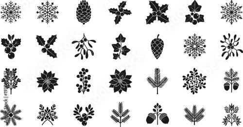 Black silhouettes of winter plants and snowflakes for Christmas designs