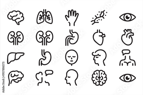 Healthcare Human Body Organ Vector Icons for Medical and Biology Design