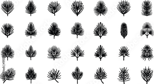 Collection of various pine tree branches in black silhouette