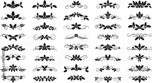 Elegant black floral decorative elements collection