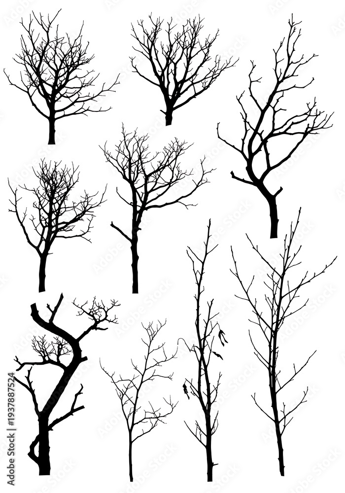 Obraz premium Winter's Silent Chorus