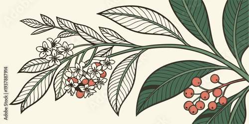 A lush border of tropical plants and flowers Vector