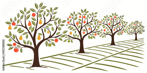 An illustration of an apple orchard with trees and rows Vector
