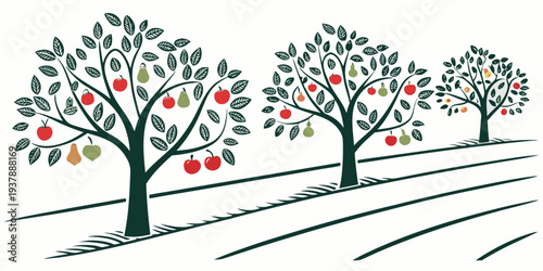 Three trees with red apples in an orchard Vector