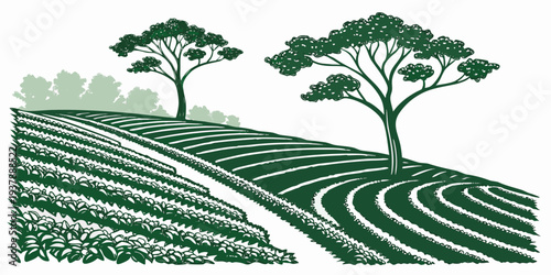 A green landscape with trees and rows of crops Vector