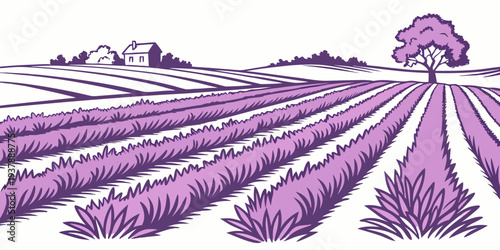 A purple field of lavender with a tree in the distance Vector