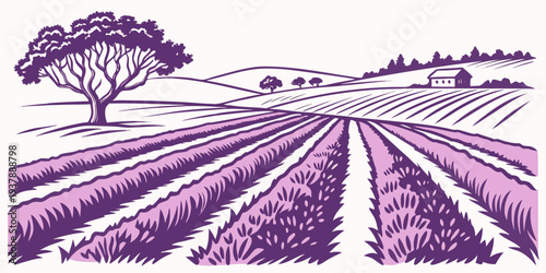 A purple illustration of a lavender field with rows of plants and a tree Vector