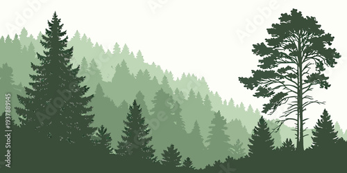 A serene forest landscape with trees and hills Vector
