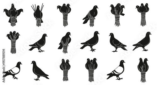 Black silhouettes of pigeons perched on bundles of asparagus against a white background various poses and views detailed illustrations
