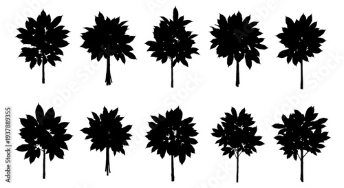 Set of black silhouettes of various flowers on white background floral shapes decorative elements botanical illustrations
