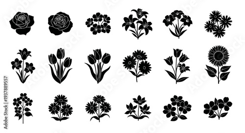 Collection of various black flower silhouettes on white background for design and decoration purposes