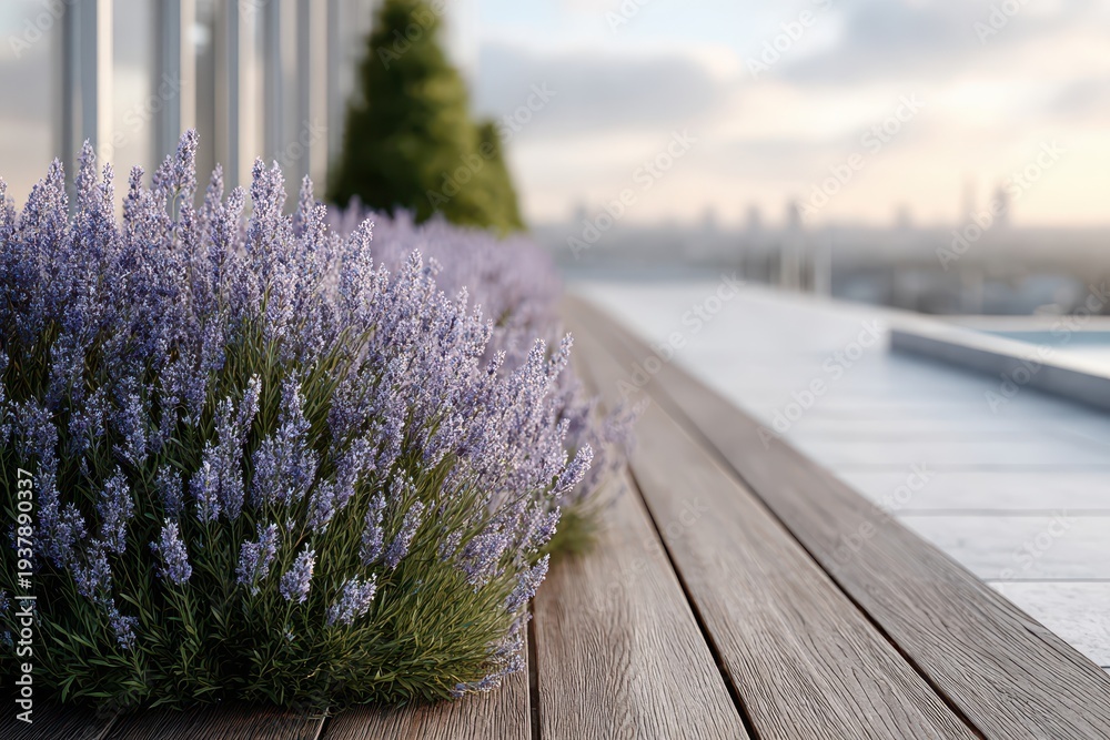 Fototapeta premium Beautiful lavender flowers on a wooden rooftop terrace with city skyline view, showcasing a peaceful and relaxing urban garden in the evening sunset light.