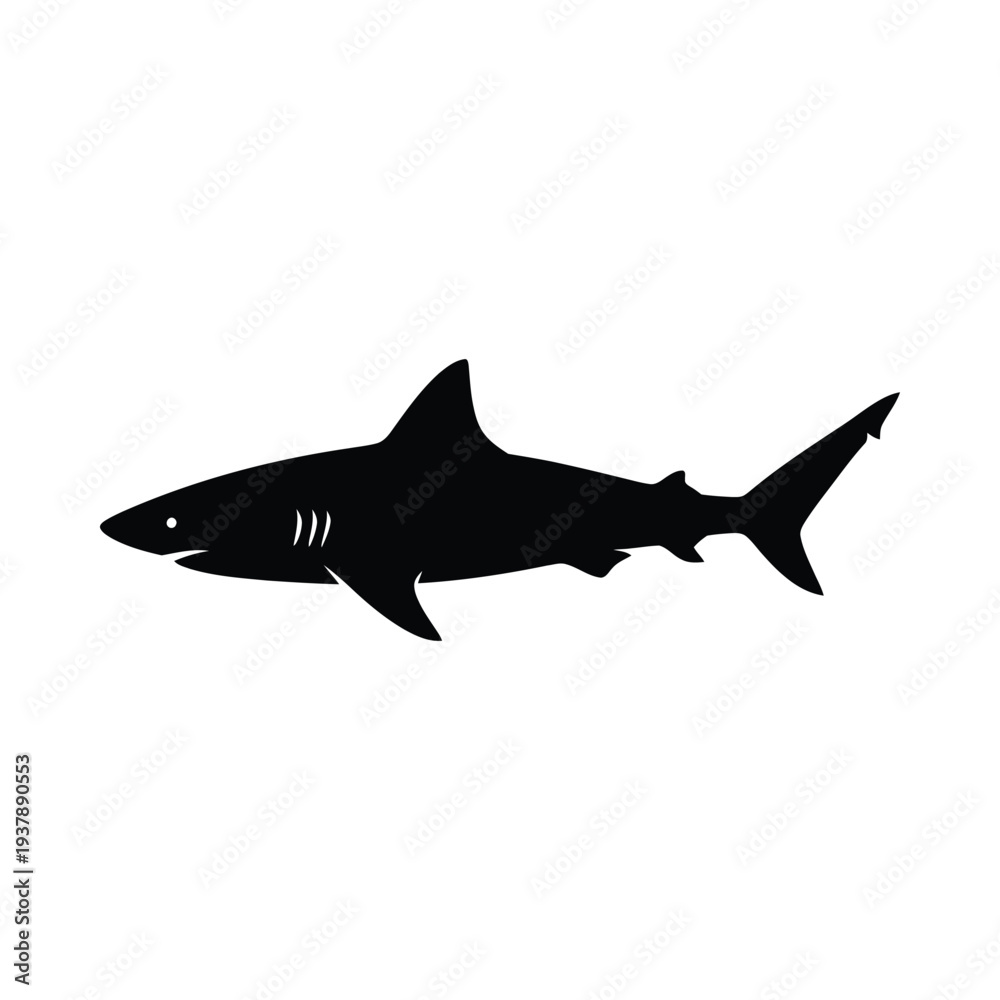 Fototapeta premium Black silhouette of a shark swimming on a white background illustration of a fish with fins and tail