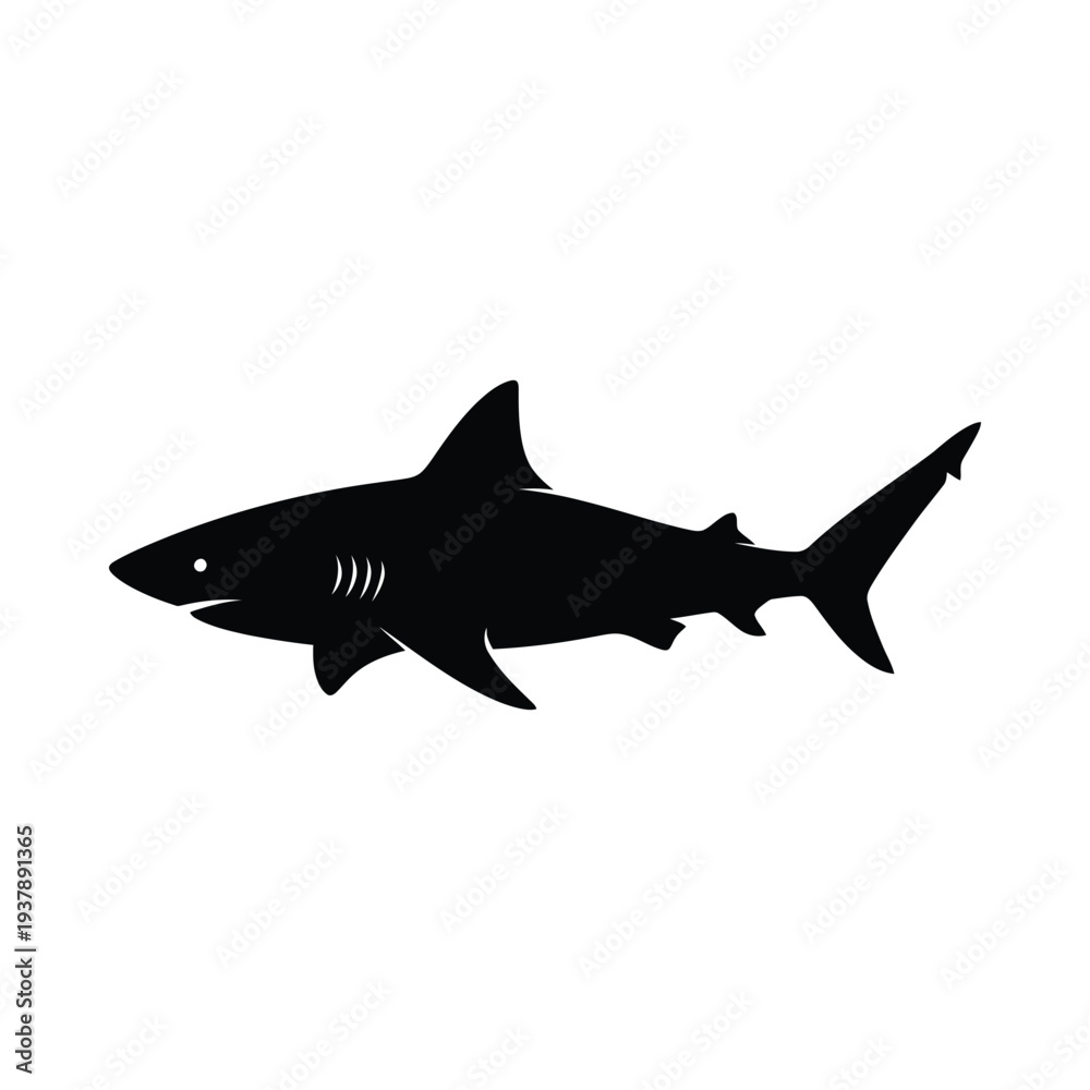 Fototapeta premium Black silhouette of a shark swimming on a white background symbolizing danger ocean and wildlife