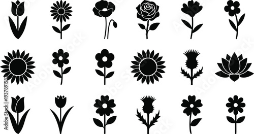 Set of 16 black and white floral icons vector illustration flat design