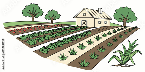 A house and garden with various plants and trees Vector
