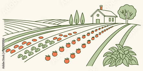 A farm with a house and rows of vegetables Vector
