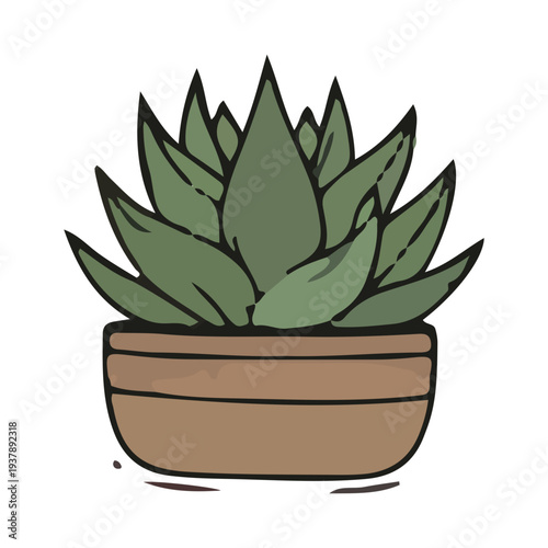 Hand Drawn Potted Succulent