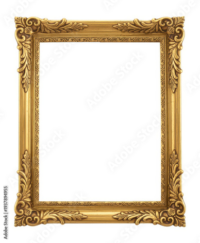 Ornate gold frame with floral pattern ornate frame