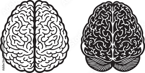 Human brain illustration, black and white, left and right hemispheres compared
