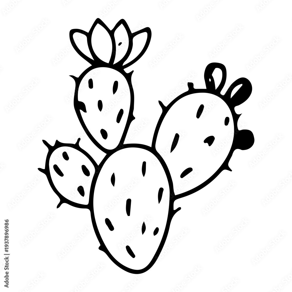 Obraz premium Doodle Prickly Pear Cactus
